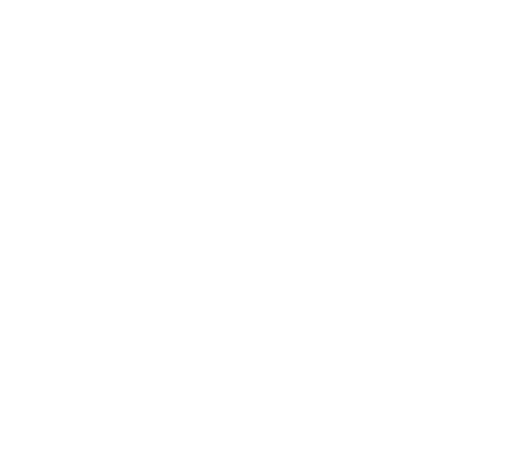 A shattered sabertooth skull